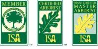 ISA Logo